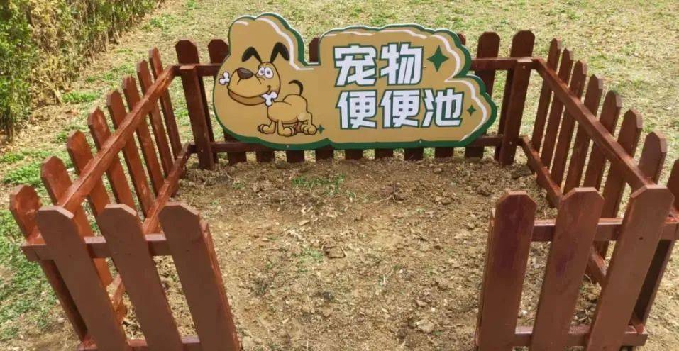 家门口成“狗公厕”<strong></p>
<p>投资理财怎样</strong>，女子喷驱狗剂却被犬主告上法庭