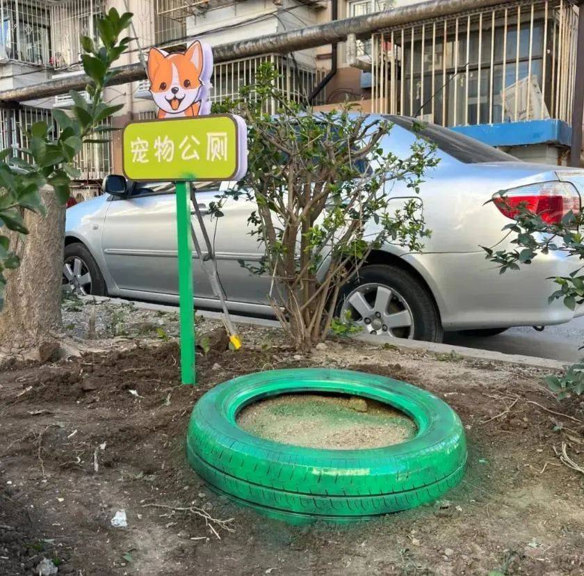 家门口成“狗公厕”<strong></p>
<p>投资理财怎样</strong>，女子喷驱狗剂却被犬主告上法庭