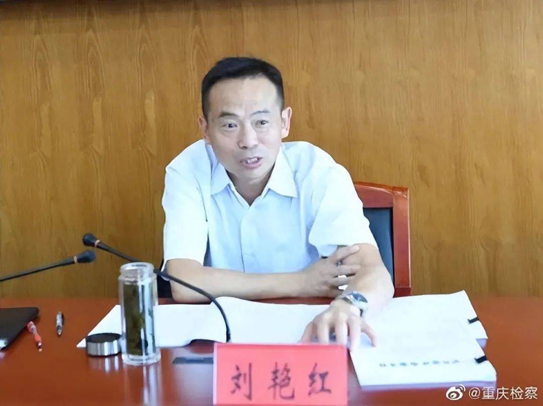 “内鬼”刘艳红<strong></p>
<p>理财入门书</strong>，已主动投案
