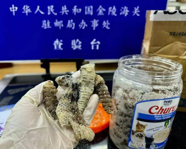 离谱！2.4斤生腌响尾蛇<strong></p>
<p>p2p理财跑路</strong>，被藏在零食罐里……