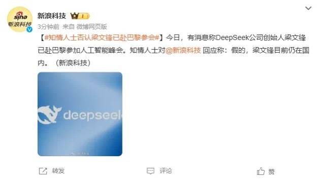 DeepSeek梁文锋用黑科技远程参加巴黎AI峰会？假的<strong></p>
<p>p2p理财跑路</strong>！