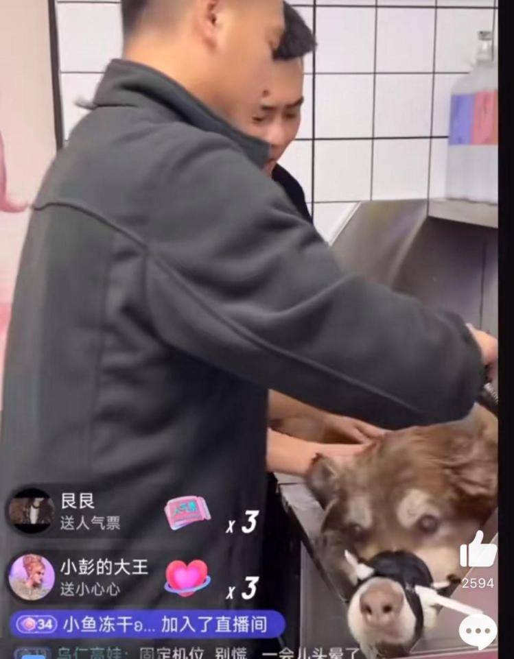 千万粉丝训犬师网红潘宏账号内容被一夜清空<strong></p>
<p>银行理财表</strong>，园区所在地官方：正调查