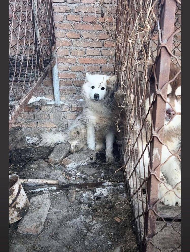千万粉丝训犬师网红潘宏账号内容被一夜清空<strong></p>
<p>银行理财表</strong>，园区所在地官方：正调查