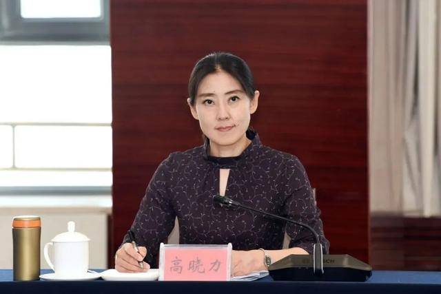 高晓力<strong></p>
<p>银行理财表</strong>，晋升副部