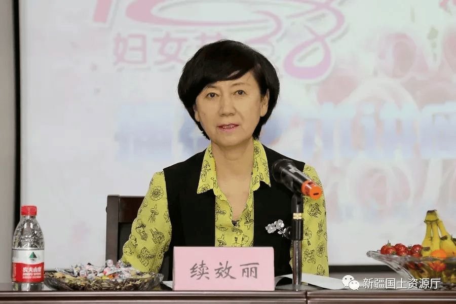 续效丽被查<strong></p>
<p>理财投资排名</strong>，已多年未出现在公开报道中