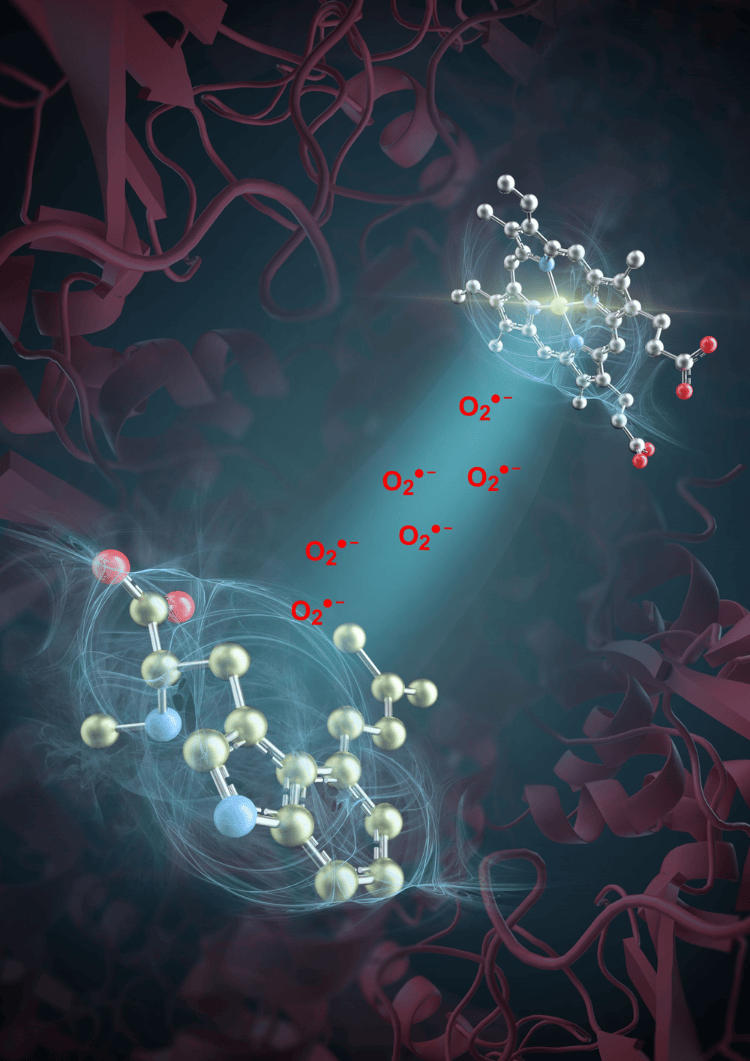 突破性进展<strong></p>
<p>中信银行理财宝</strong>!我国科学家发现活性氧超氧阴离子是药物分子合成催化剂