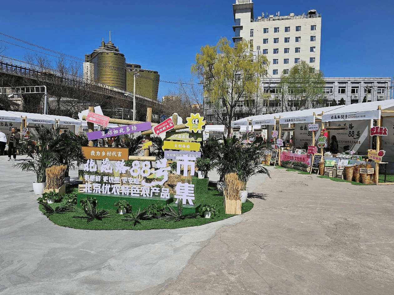 “北苑路88号”开市！优农产品大集合<strong></p>
<p>公司理财方案</strong>，市民尝鲜好去处
