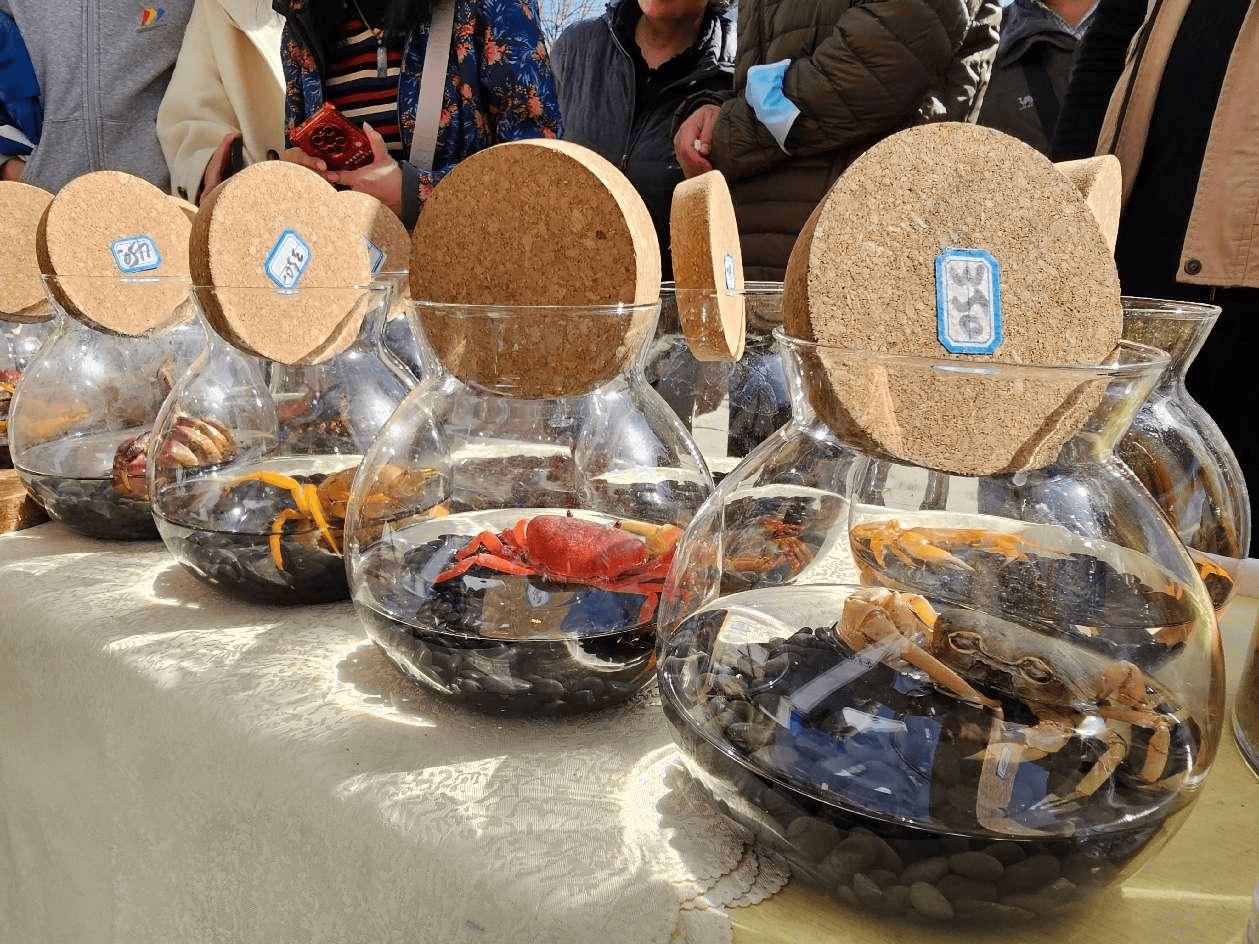 “北苑路88号”开市！优农产品大集合<strong></p>
<p>公司理财方案</strong>，市民尝鲜好去处