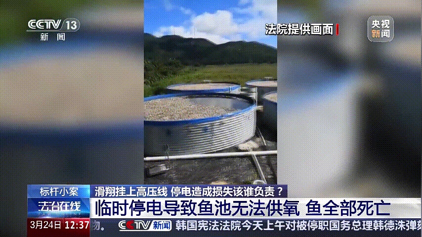 深圳女子被挂高压线！停电救援<strong></p>
<p>公司理财第九版</strong>，9池鱼死光！他怒上法庭……