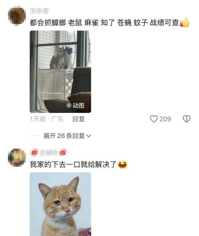 老鼠掉进泳池<strong></p>
<p>公司理财第九版</strong>，广东大叔出动鸡猫狗团队，结果全被老鼠吓跑！网友坐不住纷纷晒战绩