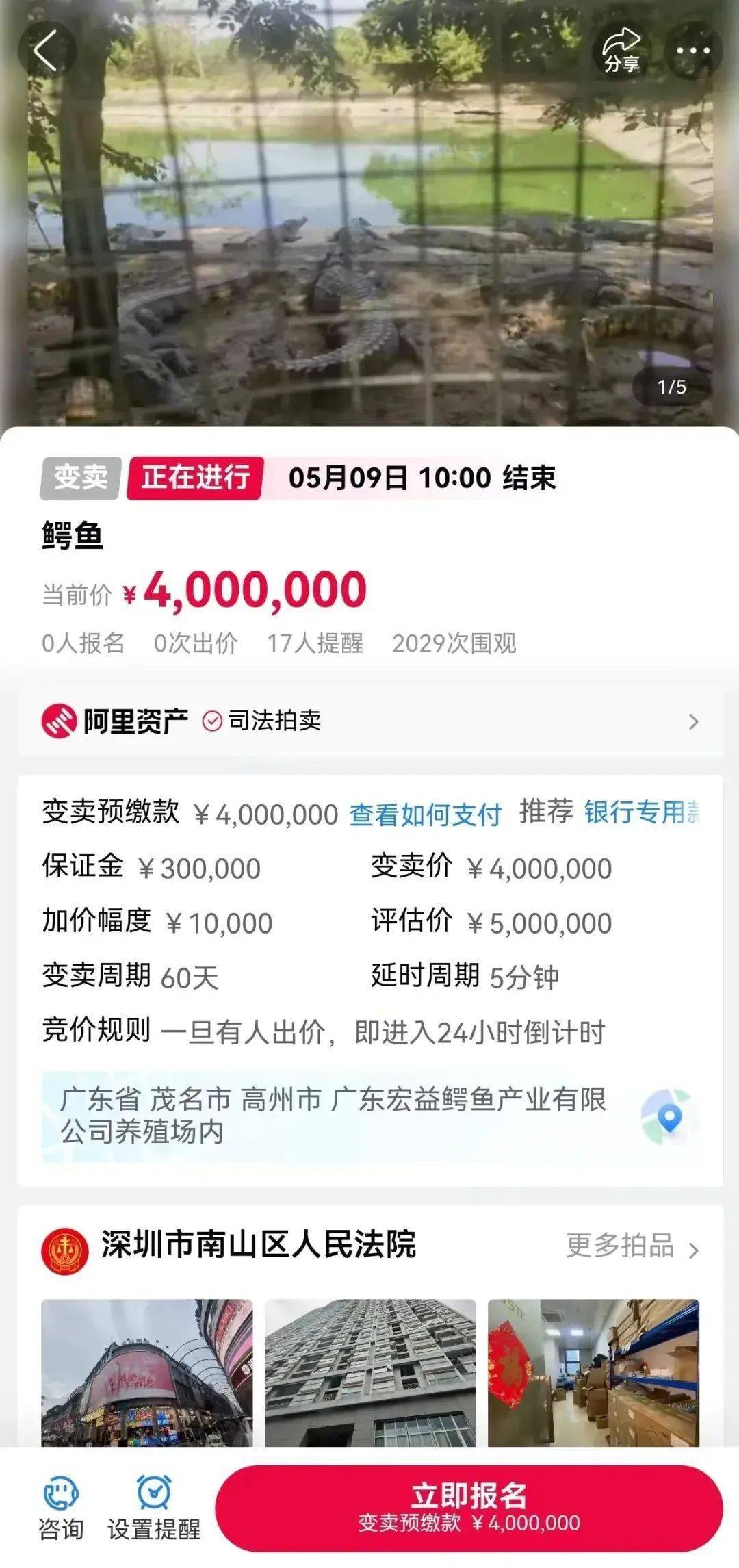 深圳一法院400万元起拍100吨活鳄鱼<strong></p>
<p>公司理财第九版</strong>，需“上门提货”，变卖源自一起刑事案件