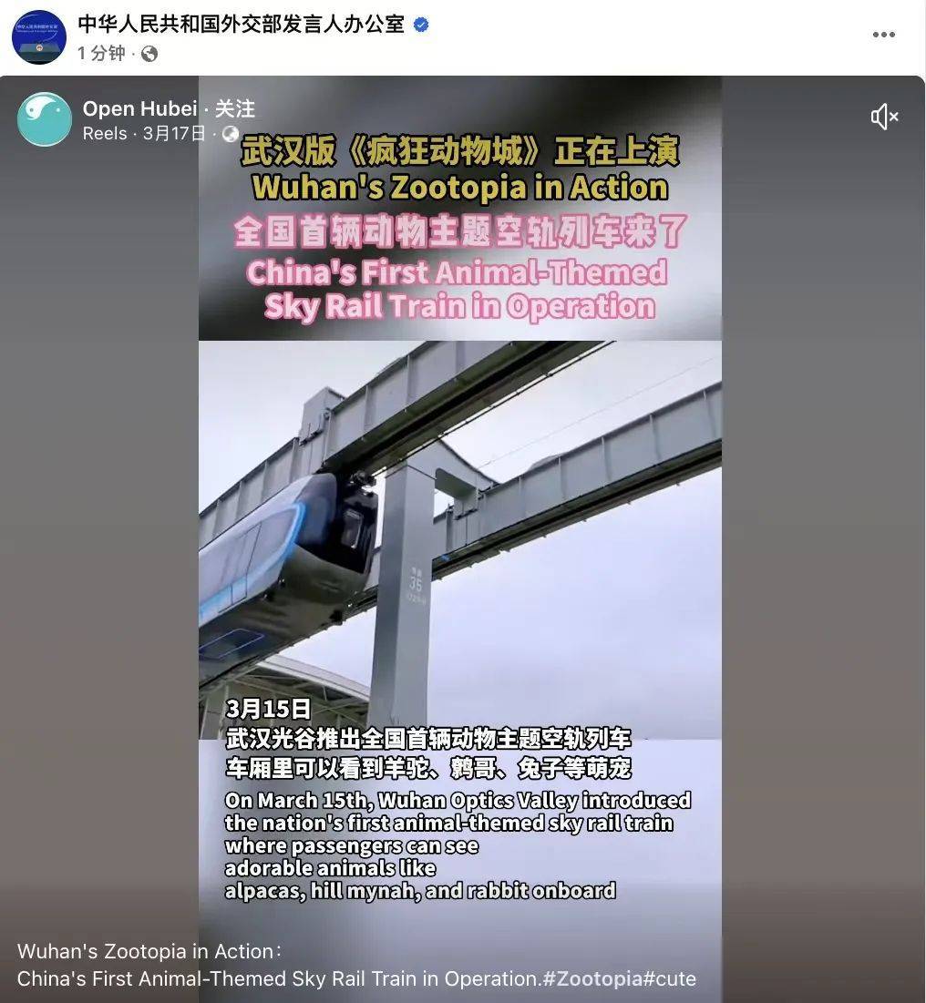 外交部转发<strong></p>
<p>公司理财第九版</strong>！武汉空轨上有羊驼