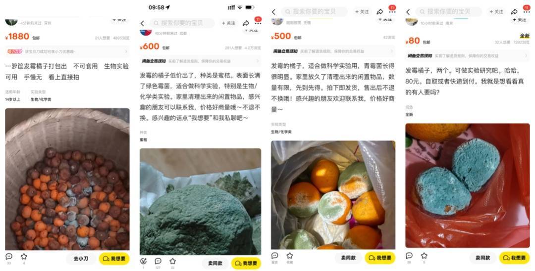 突然火了<strong></p>
<p>陆金所理财产品</strong>！有人卖500元一个！网友：后悔扔了……