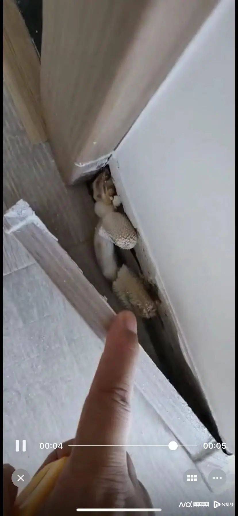 “深更半夜<strong></p>
<p>理财费</strong>，又掉一大块下来”！广东一小区业主怒了