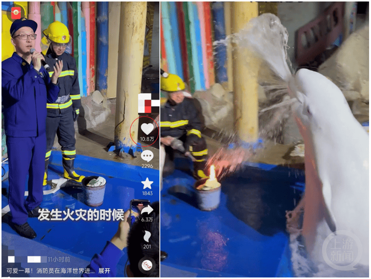 大连一海洋世界消防演练时白鲸喷水灭火<strong></p>
<p>理财费</strong>，工作人员：它智商很高，看到危险会喷水