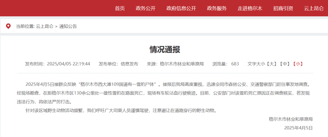 国道上发现雪豹尸体<strong></p>
<p>理财费</strong>，疑似一级保护动物遭车辆撞击