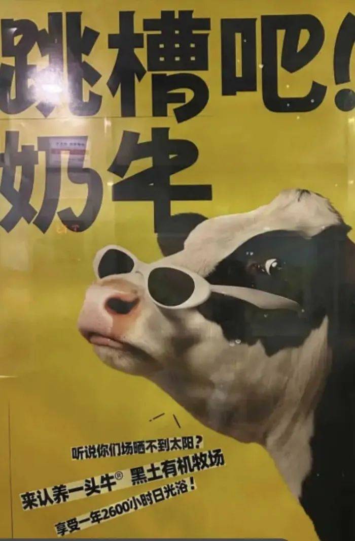认养一头牛广告被质疑讽刺打工人<strong></p>
<p>济南理财</strong>，公司回应：致敬BOSS直聘