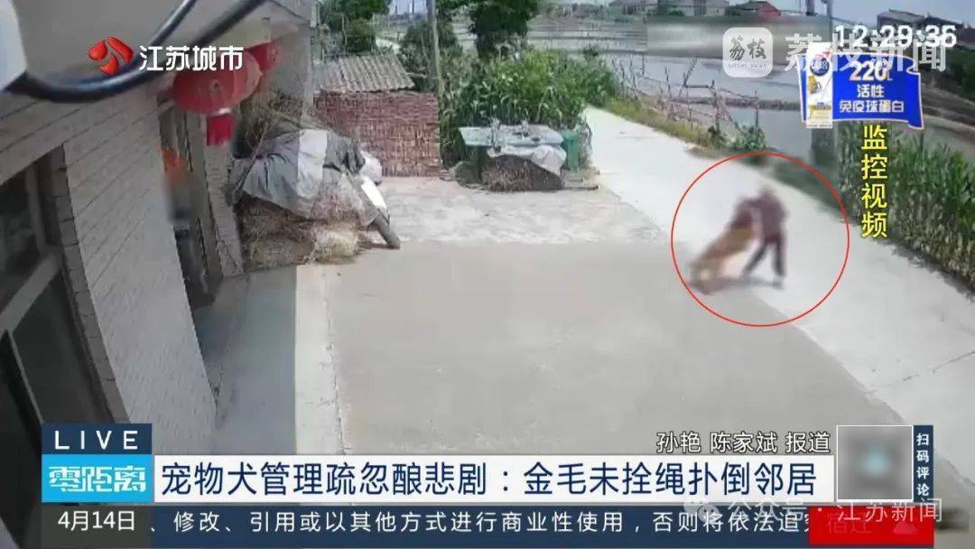 八旬老人被金毛扑倒致死<strong></p>
<p>济南理财</strong>，邻居不愿赔10万，法院：赔40万！