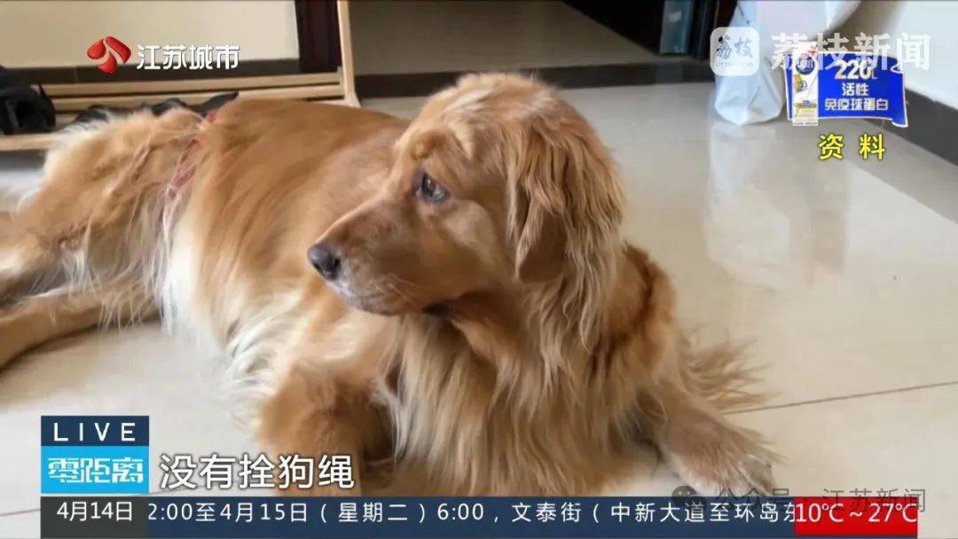 八旬老人被金毛扑倒致死<strong></p>
<p>济南理财</strong>，邻居不愿赔10万，法院：赔40万！