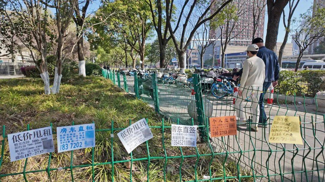 一二线城市房租普降<strong></p>
<p>怎么网上理财</strong>，房东主动降200留我