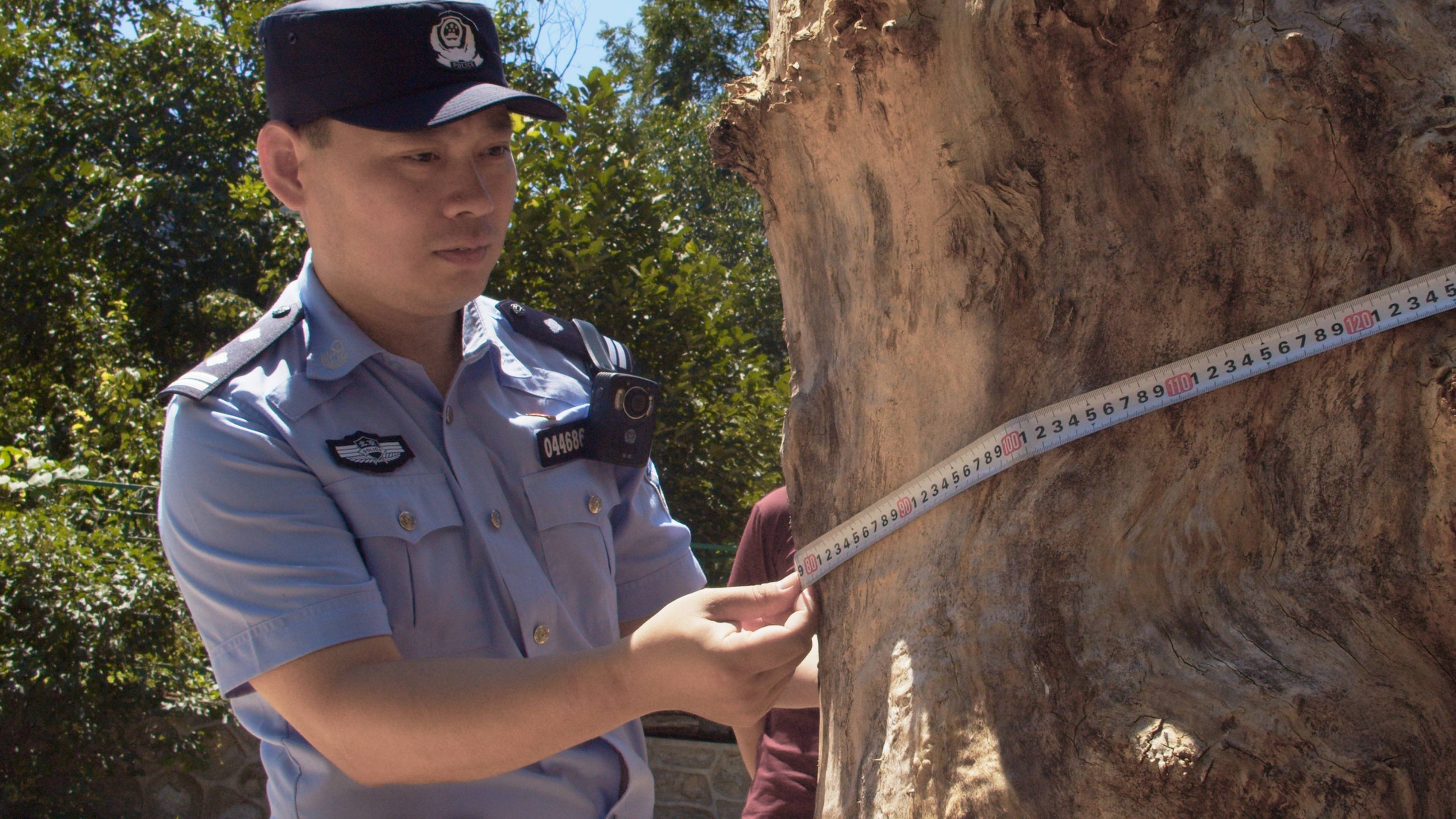 森林警察韩孟祺：乔装成驴友潜伏密林中<strong></p>
<p>理财选择</strong>，抓获“粘鸟”嫌疑人