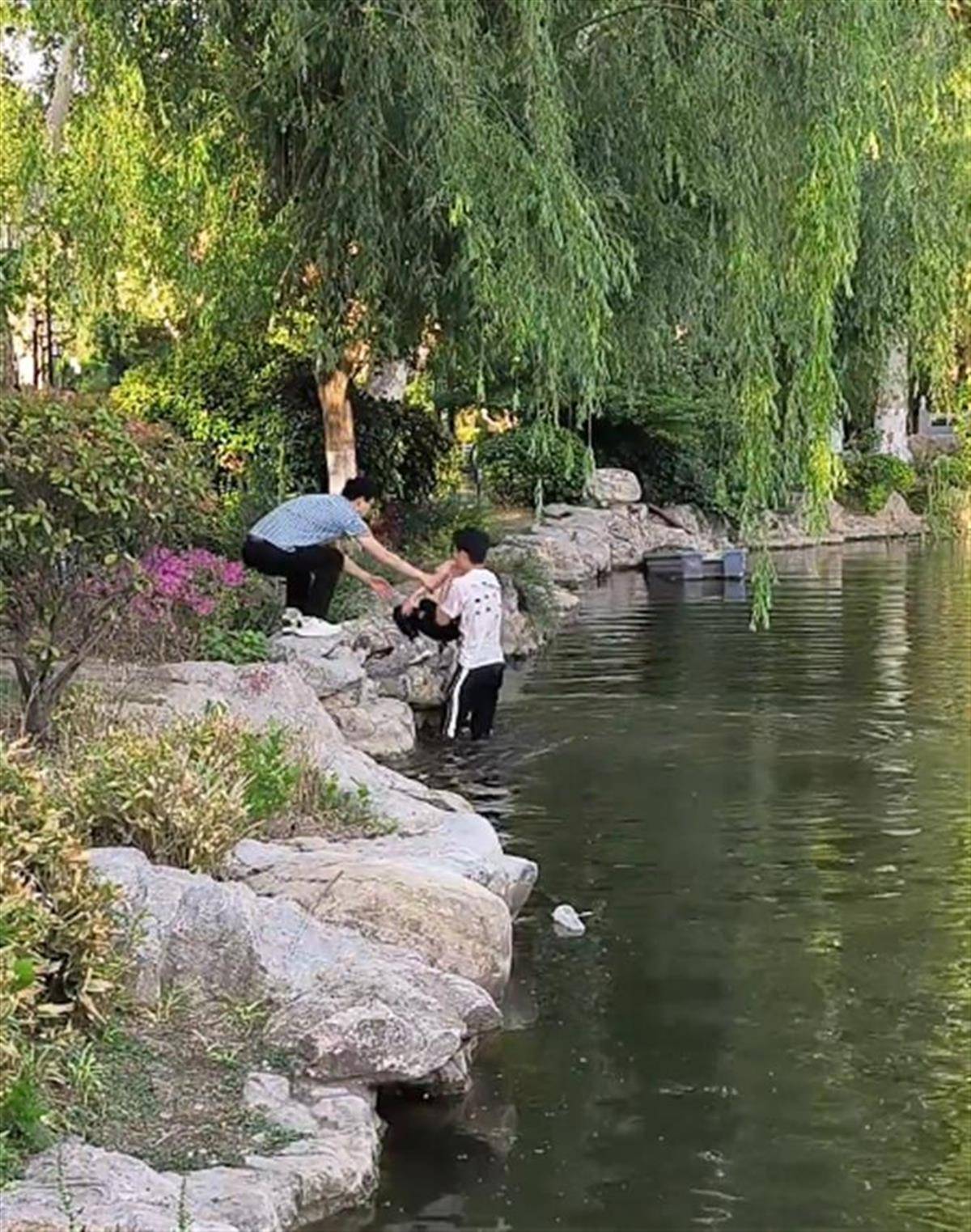 徐州一女童落水被救起<strong></p>
<p>阿里理财</strong>，家长赶来先责怪孩子，救人者：家长当时吓坏了，后来已道谢