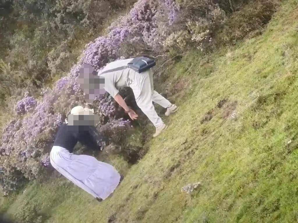 两游客在景区盗挖索玛花 警方：给予行政处罚<strong></p>
<p>理财凤凰</strong>，两人认识到错误并作郑重道歉
