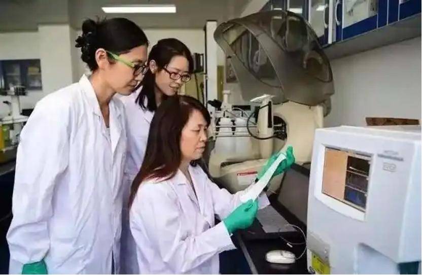 深挖 | “西北大学副校长范代娣成陕西首富”系乌龙<strong></p>
<p>理财管理系统</strong>，但她的人生如同开挂