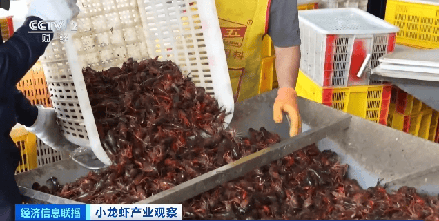价格暴跌近50%<strong></p>
<p>理财帝</strong>！“接下来还会降”！青岛正大量上市……