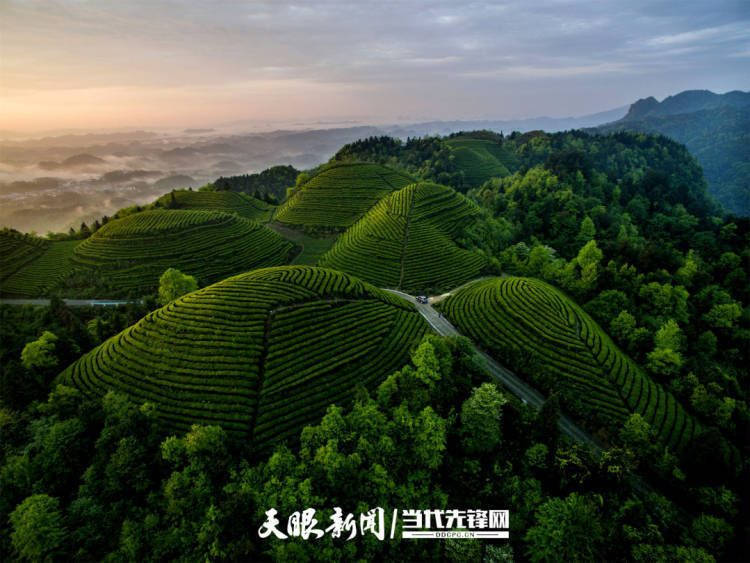 从4132亿到1.31万亿<strong></p>
<p>理财帝</strong>！贵州县域经济“兴”动山海