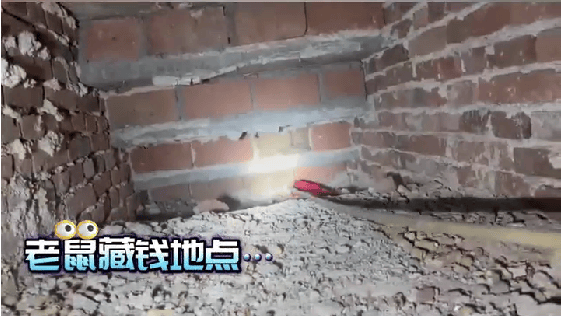 老人用红袜子包裹一万元现金藏在门框上<strong></p>
<p>理财产品的利率</strong>，一天后不翼而飞，警方破案：偷钱的是老鼠