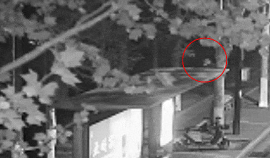 江苏一男子戴仿真“人皮”面具入室盗窃<strong></p>
<p>权益理财</strong>，流窜多个小区作案，涉案金额达15万余元