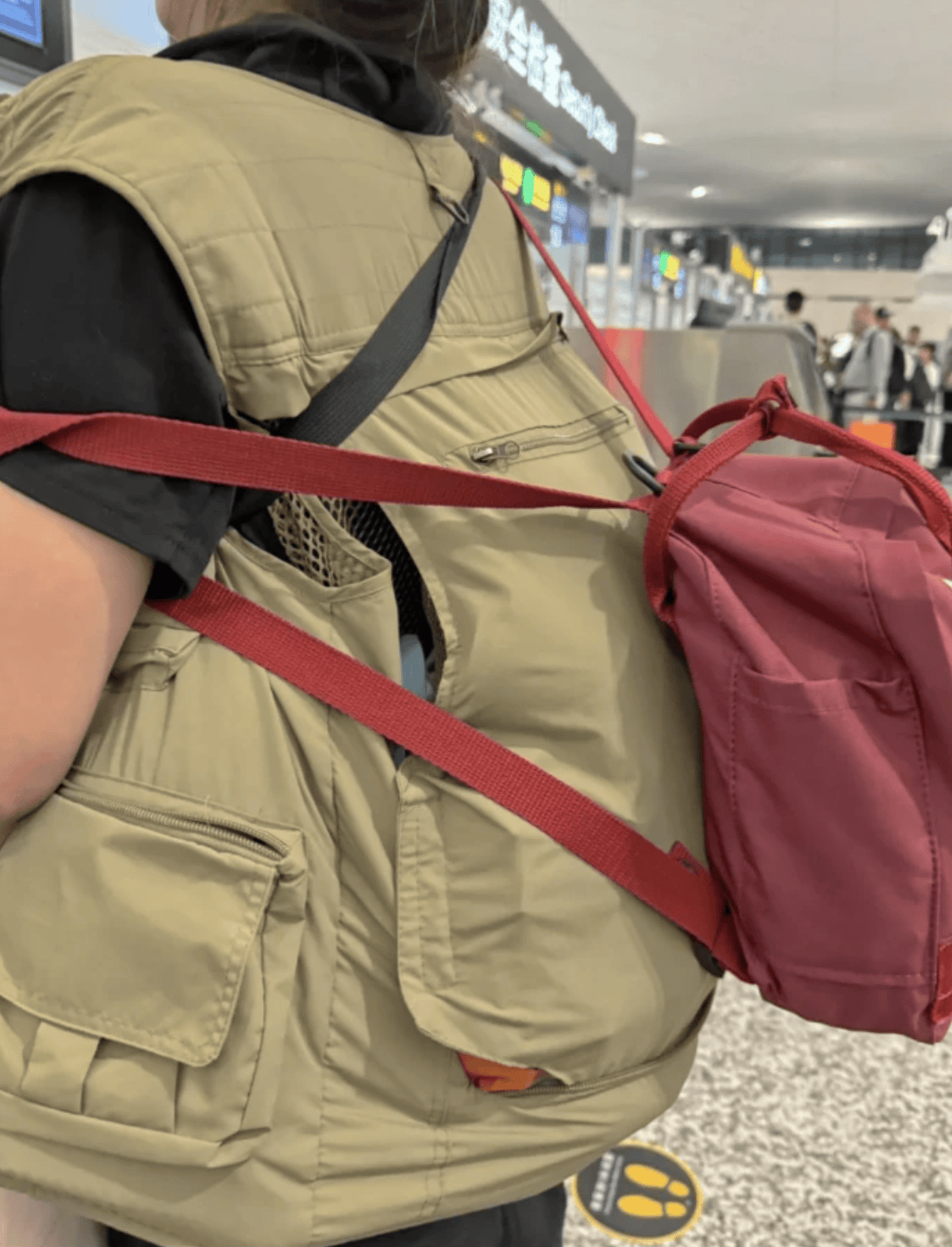 “坐飞机发现旁边放着冷链海鲜”<strong></p>
<p>权益理财</strong>,航空公司兼职送货给出差人整破防了