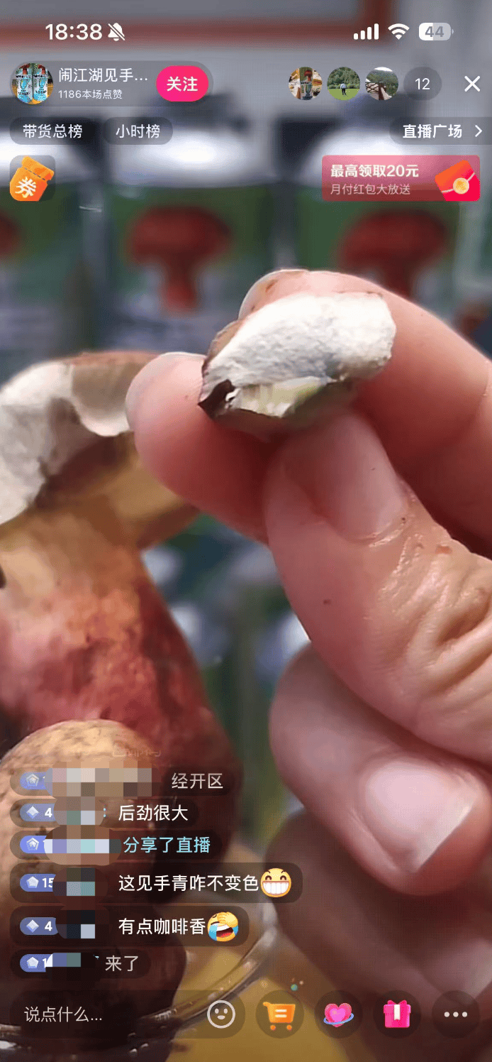 10万瓶一周抢售一空!云南“见手青啤酒”卖疯<strong></p>
<p>权益理财</strong>,背后代工厂竟欠债400万?