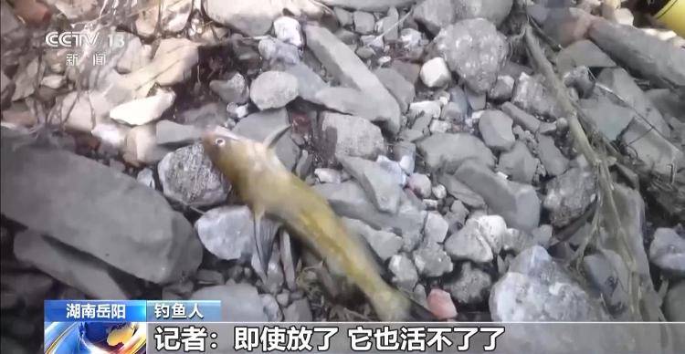 保护区里的“疯狂垂钓”屡禁不止<strong></p>
<p>权益理财</strong>！记者调查