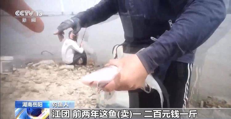 保护区里的“疯狂垂钓”屡禁不止<strong></p>
<p>权益理财</strong>！记者调查