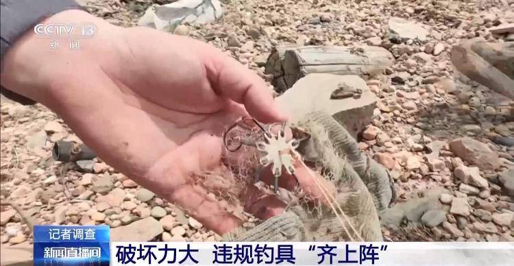 保护区里的“疯狂垂钓”屡禁不止<strong></p>
<p>权益理财</strong>！记者调查
