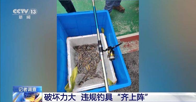 保护区里的“疯狂垂钓”屡禁不止<strong></p>
<p>权益理财</strong>！记者调查
