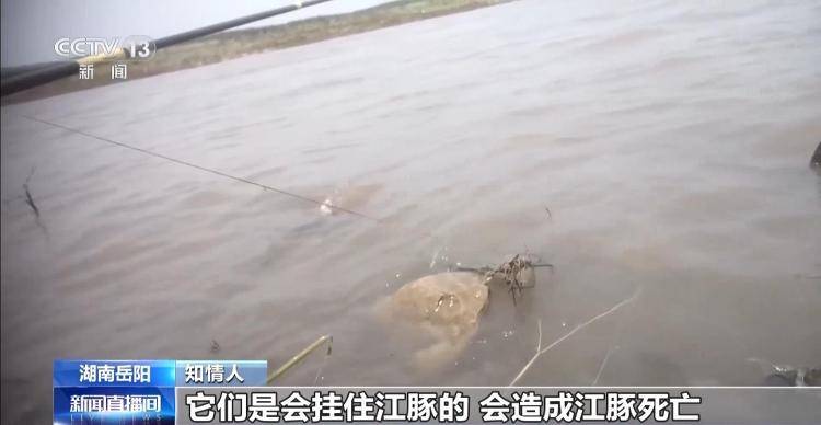 保护区里的“疯狂垂钓”屡禁不止<strong></p>
<p>权益理财</strong>！记者调查