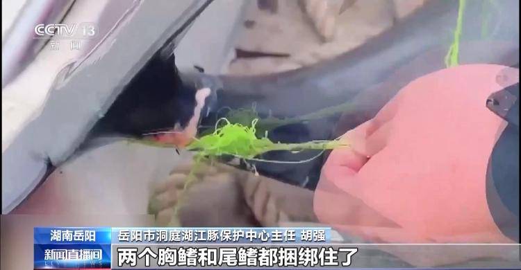 保护区里的“疯狂垂钓”屡禁不止<strong></p>
<p>权益理财</strong>！记者调查