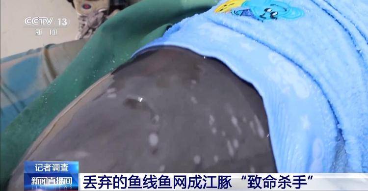 保护区里的“疯狂垂钓”屡禁不止<strong></p>
<p>权益理财</strong>！记者调查