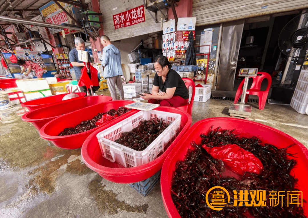 价格腰斩<strong></p>
<p>网上理财平台</strong>！13元/斤！南昌正大量上市