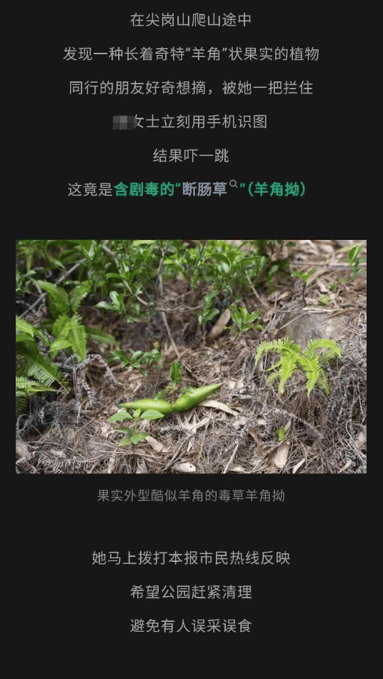 大片连根铲除！深圳一公园“火速响应”引质疑<strong></p>
<p>体验金理财</strong>，网友为它喊冤