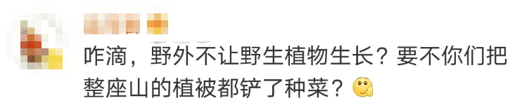 大片连根铲除！深圳一公园“火速响应”引质疑<strong></p>
<p>体验金理财</strong>，网友为它喊冤