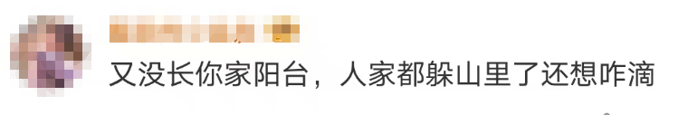 大片连根铲除！深圳一公园“火速响应”引质疑<strong></p>
<p>体验金理财</strong>，网友为它喊冤