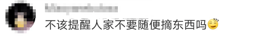 大片连根铲除！深圳一公园“火速响应”引质疑<strong></p>
<p>体验金理财</strong>，网友为它喊冤
