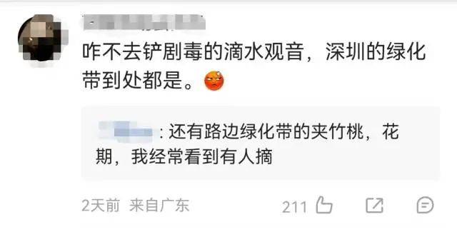 大片连根铲除！深圳一公园“火速响应”引质疑<strong></p>
<p>体验金理财</strong>，网友为它喊冤