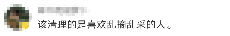 大片连根铲除！深圳一公园“火速响应”引质疑<strong></p>
<p>体验金理财</strong>，网友为它喊冤