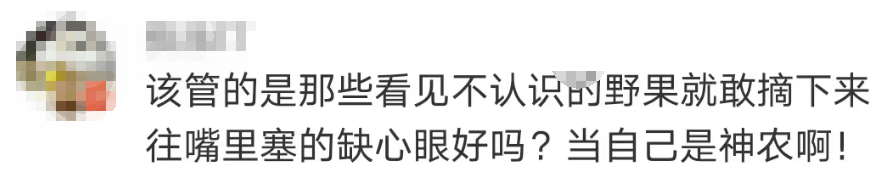 大片连根铲除！深圳一公园“火速响应”引质疑<strong></p>
<p>体验金理财</strong>，网友为它喊冤