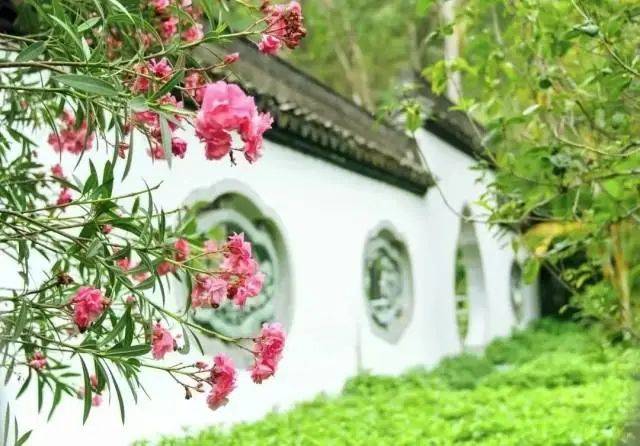 大片连根铲除！深圳一公园“火速响应”引质疑<strong></p>
<p>体验金理财</strong>，网友为它喊冤